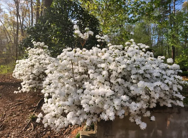 $585,000 | 105 Liberty Road, Murphy, NC 28906