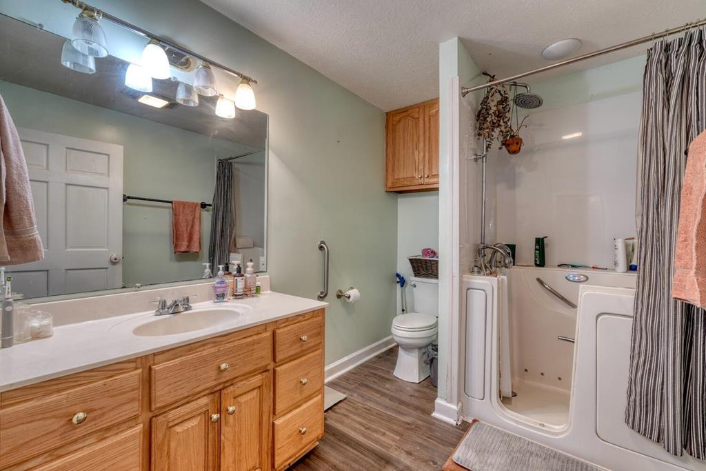 105 Liberty Road Murphy, NC 28906 - Photo 46 of 53 a bathroom with a sink a toilet and a mirror