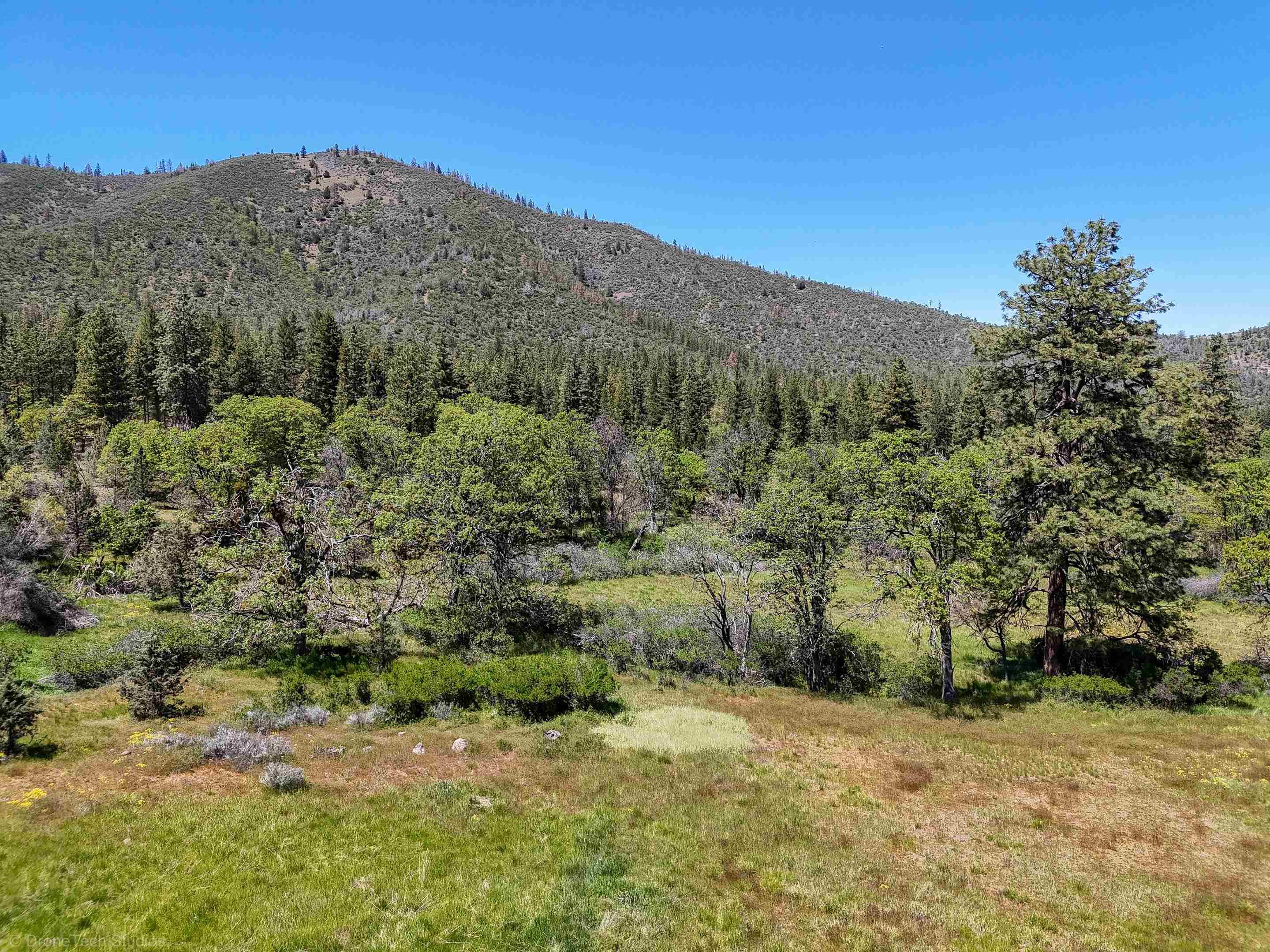 7226 Schulmeyer Gulch Road Yreka, CA 96097 - Photo 22 of 40 Gallery Image 22