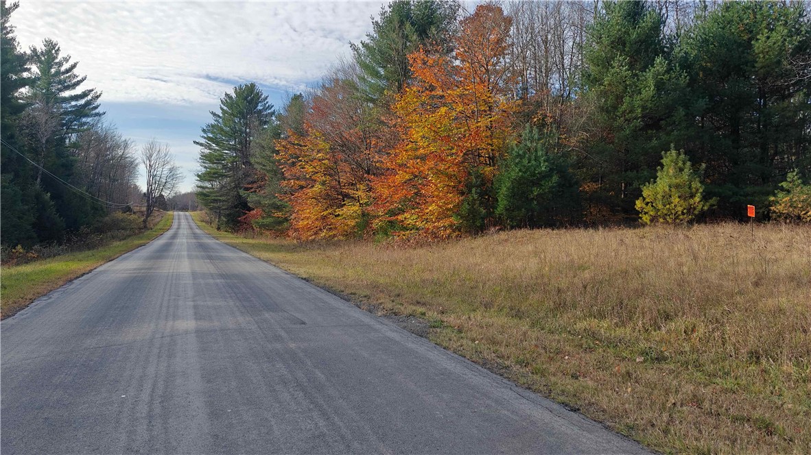 239 White Road Parish, NY 13131 - Photo 9 of 17