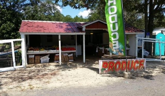 3292 Main Street Vernon, FL 32462 - Photo 7 of 8