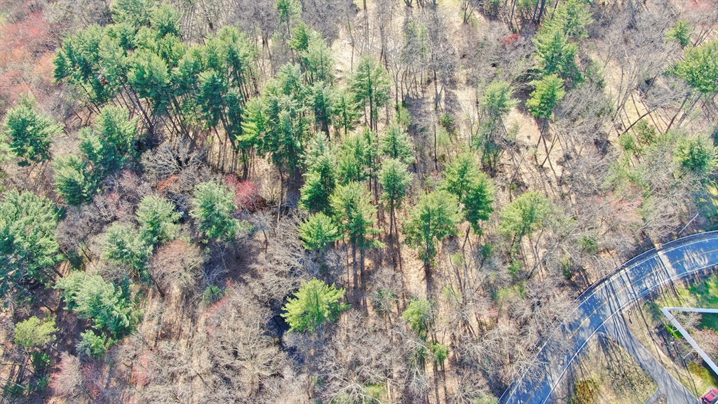 0 Hampshire Road Salem, NH 03079 - Photo 11 of 15 a backyard of a house with lots of green space