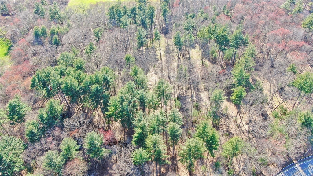 0 Hampshire Road Salem, NH 03079 - Photo 3 of 15 a view of a yard with plants and trees