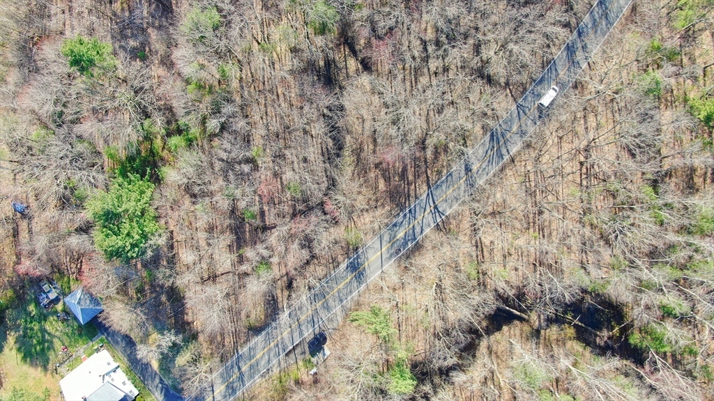 0 Hampshire Road Salem, NH 03079 - Photo 6 of 15 a view of a forest with a tree