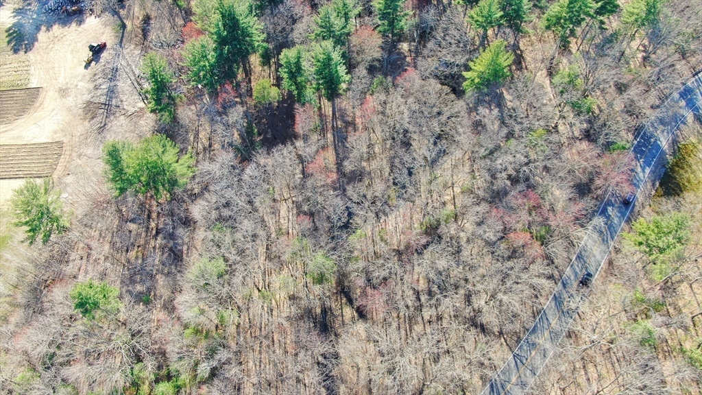 0 Hampshire Road Salem, NH 03079 - Photo 7 of 15 a view of a plants with a trees