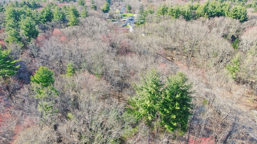 0 Hampshire Road Salem, NH 03079 - Photo 10 of 15 a view of a yard with plants and a wall of house