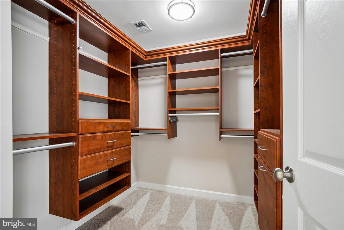 848 West Glebe Road Alexandria, VA 22305 - Photo 24 of 43 Primary bedroom custom walk-in closet