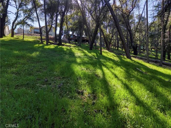 a view of a park with large trees