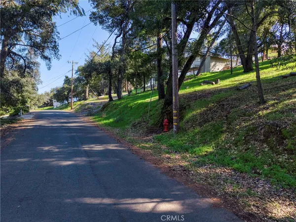 a view of a backyard with green space