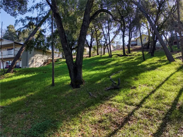 a view of a park with tree s