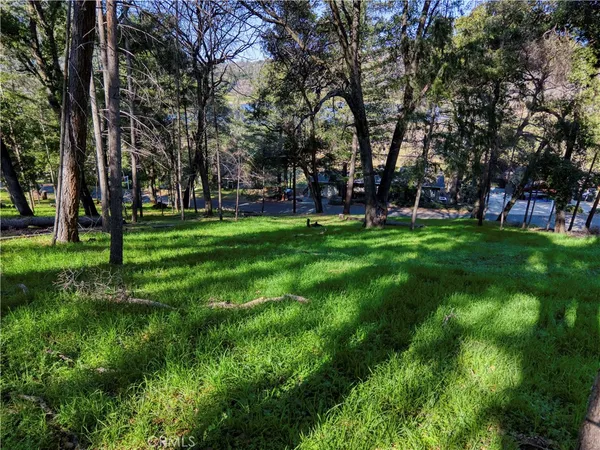 a view of a park with large trees