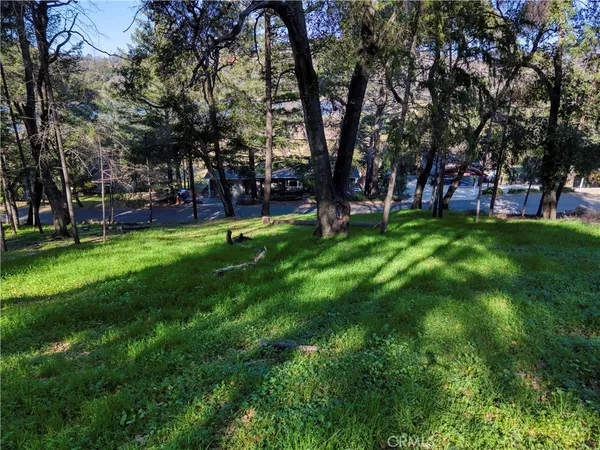 a view of a backyard with large trees