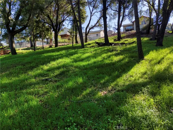 a view of backyard with green space