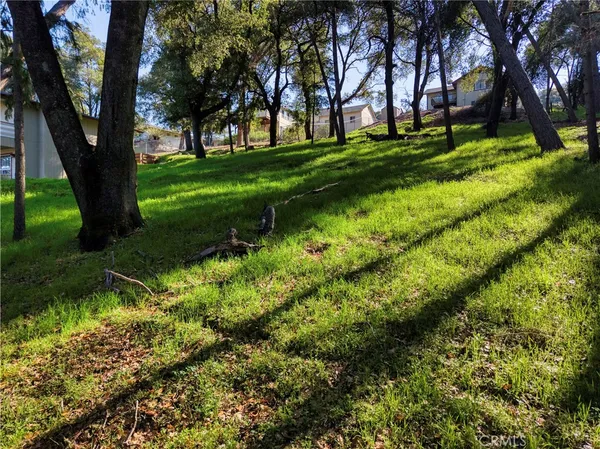 a view of a park with large trees