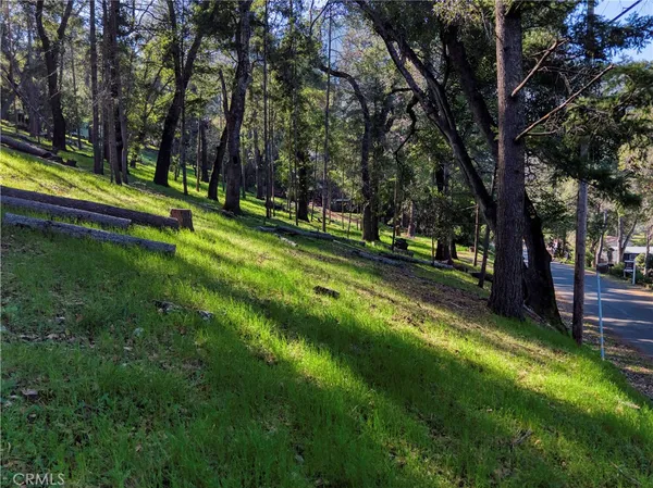 $32,000 | 2999 Buckingham Drive, Kelseyville, CA 95451