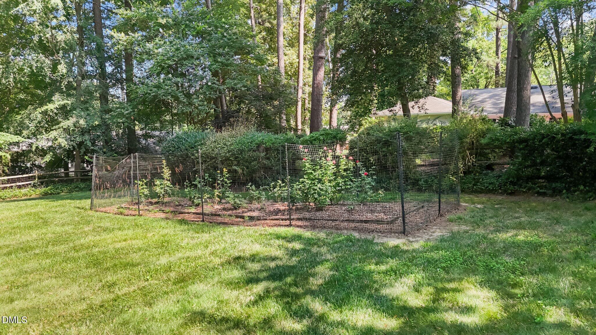 3724 Hope Valley Road Durham, NC 27707 - Photo 34 of 55 a view of a yard with a tree