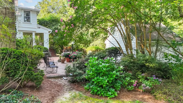 a view of backyard with outdoor seating and plants