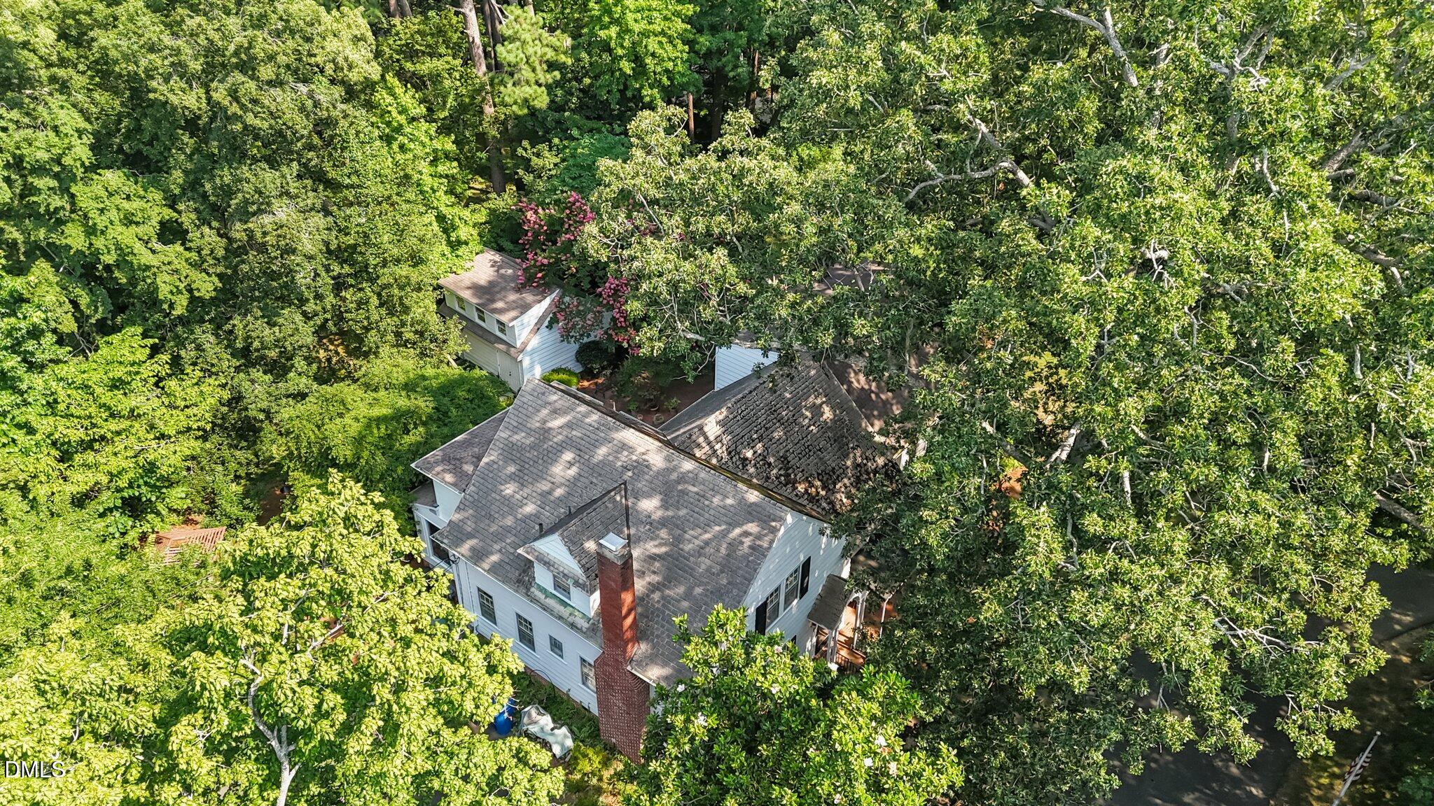 3724 Hope Valley Road Durham, NC 27707 - Photo 51 of 55 a view of a tree in a yard