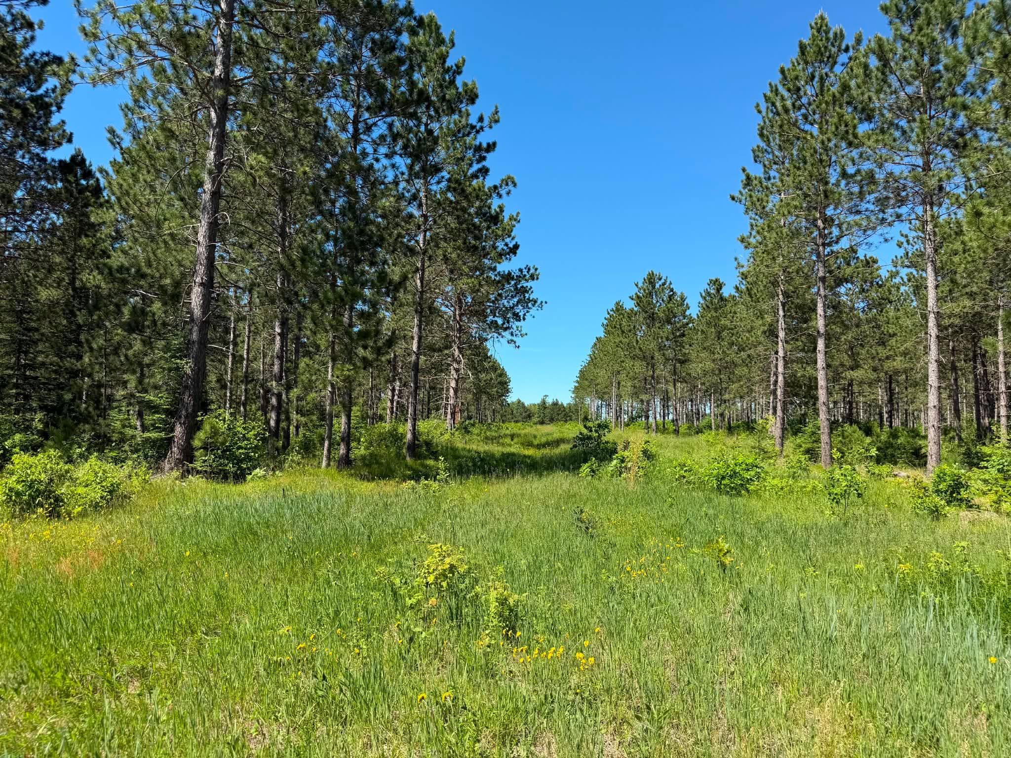 10998 Grange Road Northwest Bemidji, MN 56601 - Photo 7 of 7