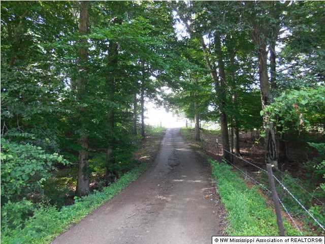 6567 East Tate Road Coldwater, MS 38618 - Photo 3 of 7 Additional Photo
