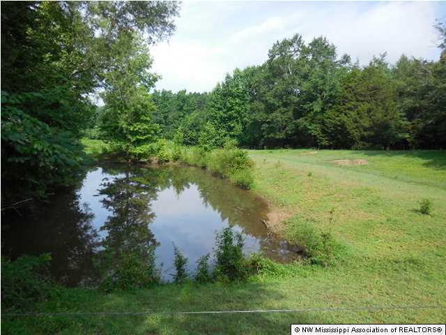 6567 East Tate Road Coldwater, MS 38618 - Photo 4 of 7 Additional Photo