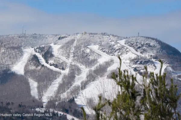 a view of a dry yard with mountains in the background