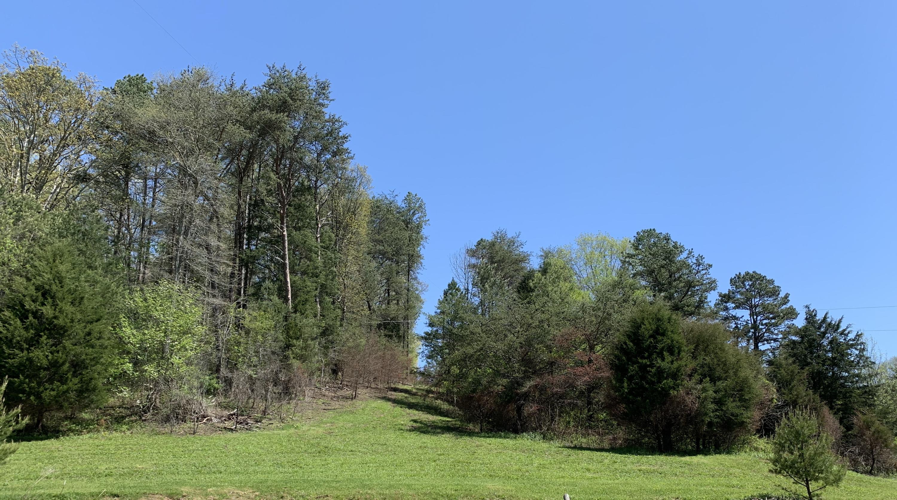 1125 Harmon Road Somerset, KY 42501 - Photo 7 of 37 D7132B8D-E719-4E19-A2FB-C2987AA30A23<|>P
