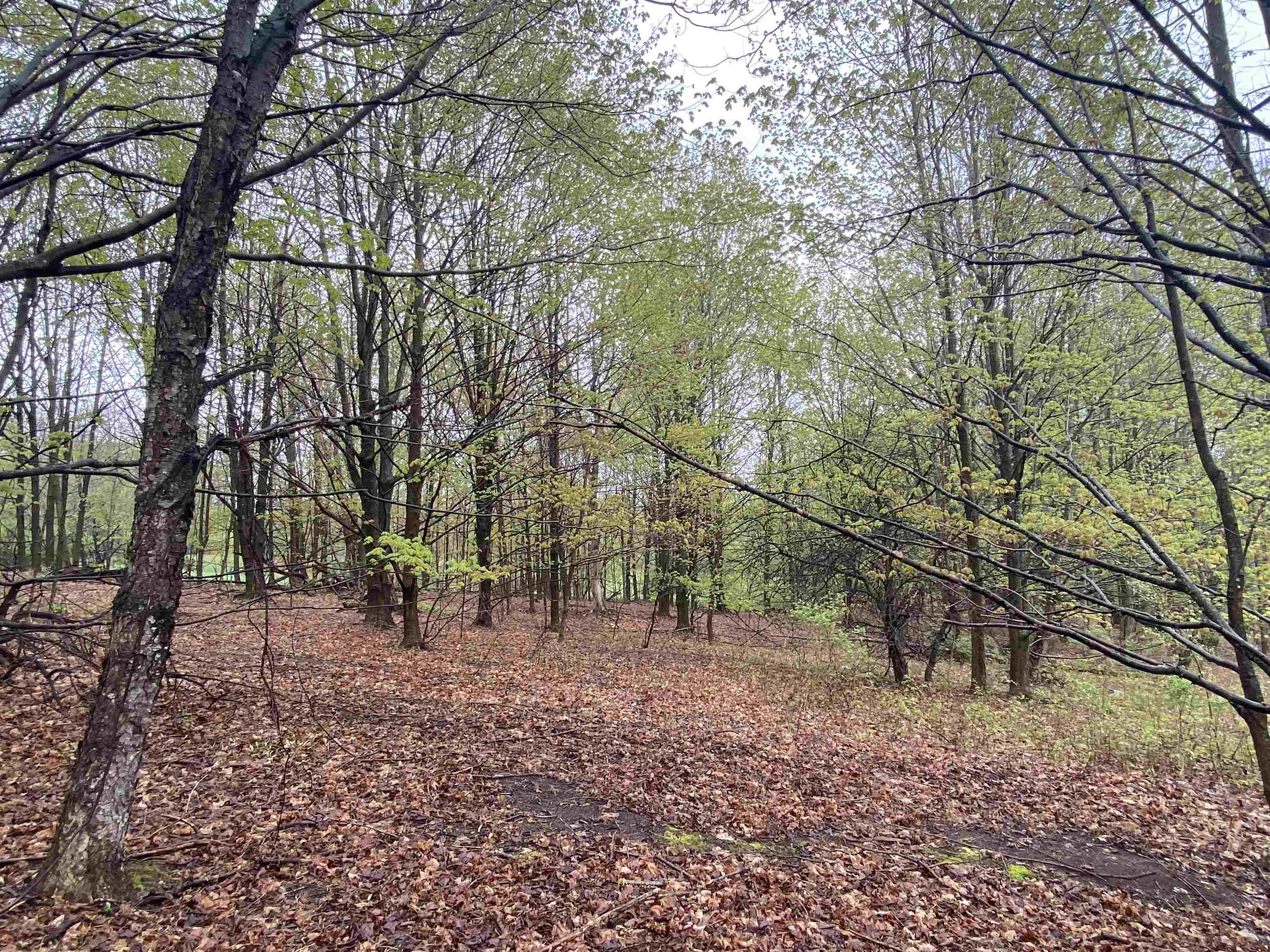 F North Marshall Road Beulah, MI 49617 - Photo 2 of 7