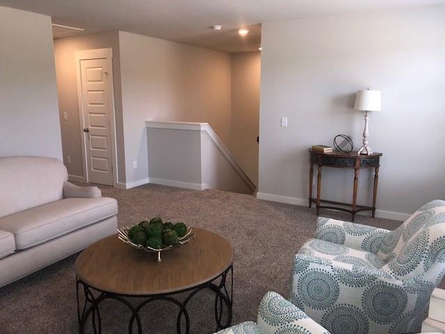 3153 Rift Lane Murfreesboro, TN 37130 - Photo 17 of 27 Gallery Image 17