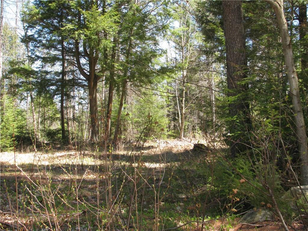 0 Rabbit Road Sabattus, ME 04280 - Photo 10 of 19 Photo