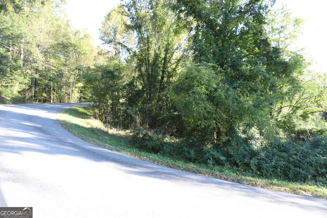 a view of a yard with a trees
