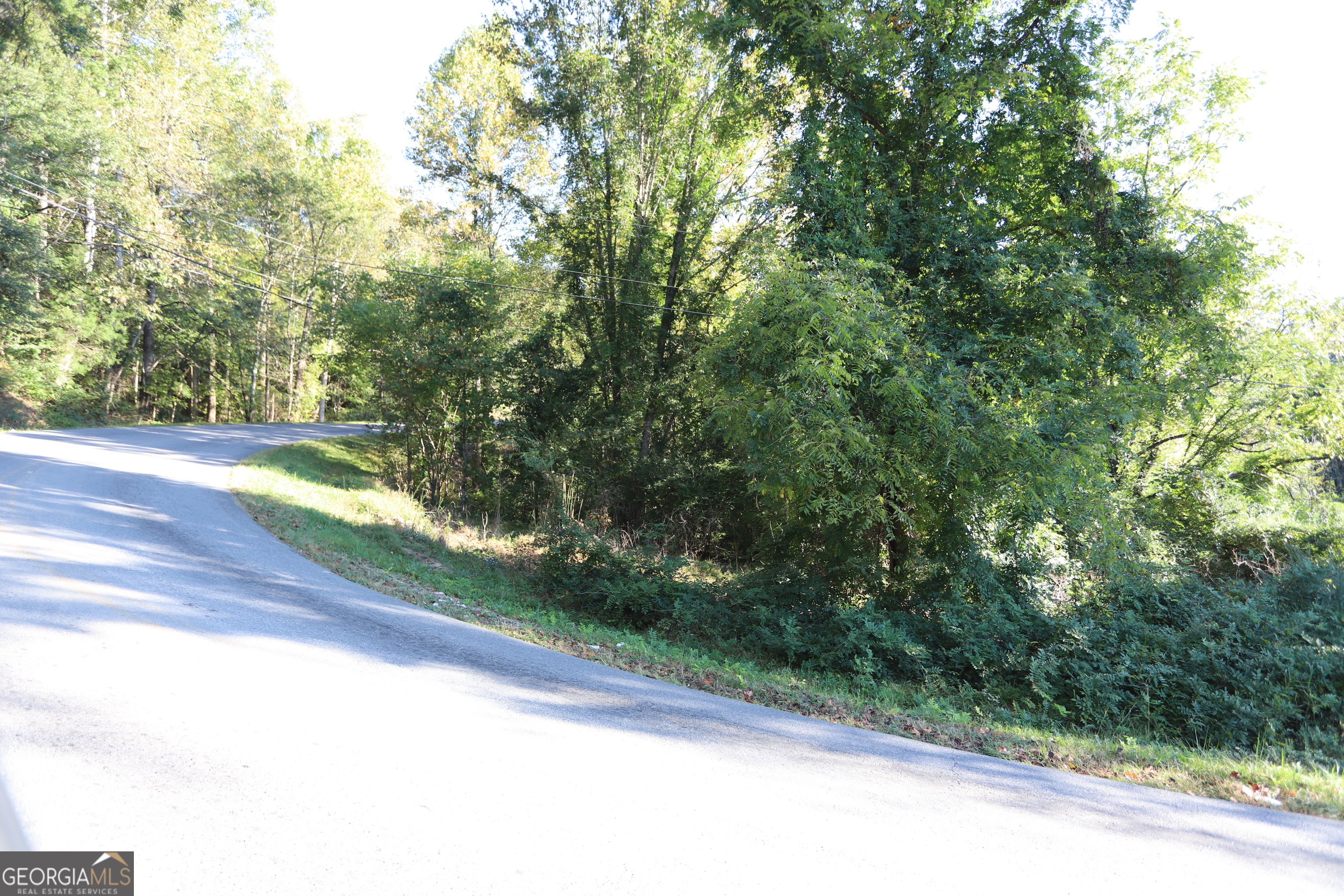 0 Dry Valley Road Summerville, GA 30747 - Photo 2 of 6 a view of a yard with a trees