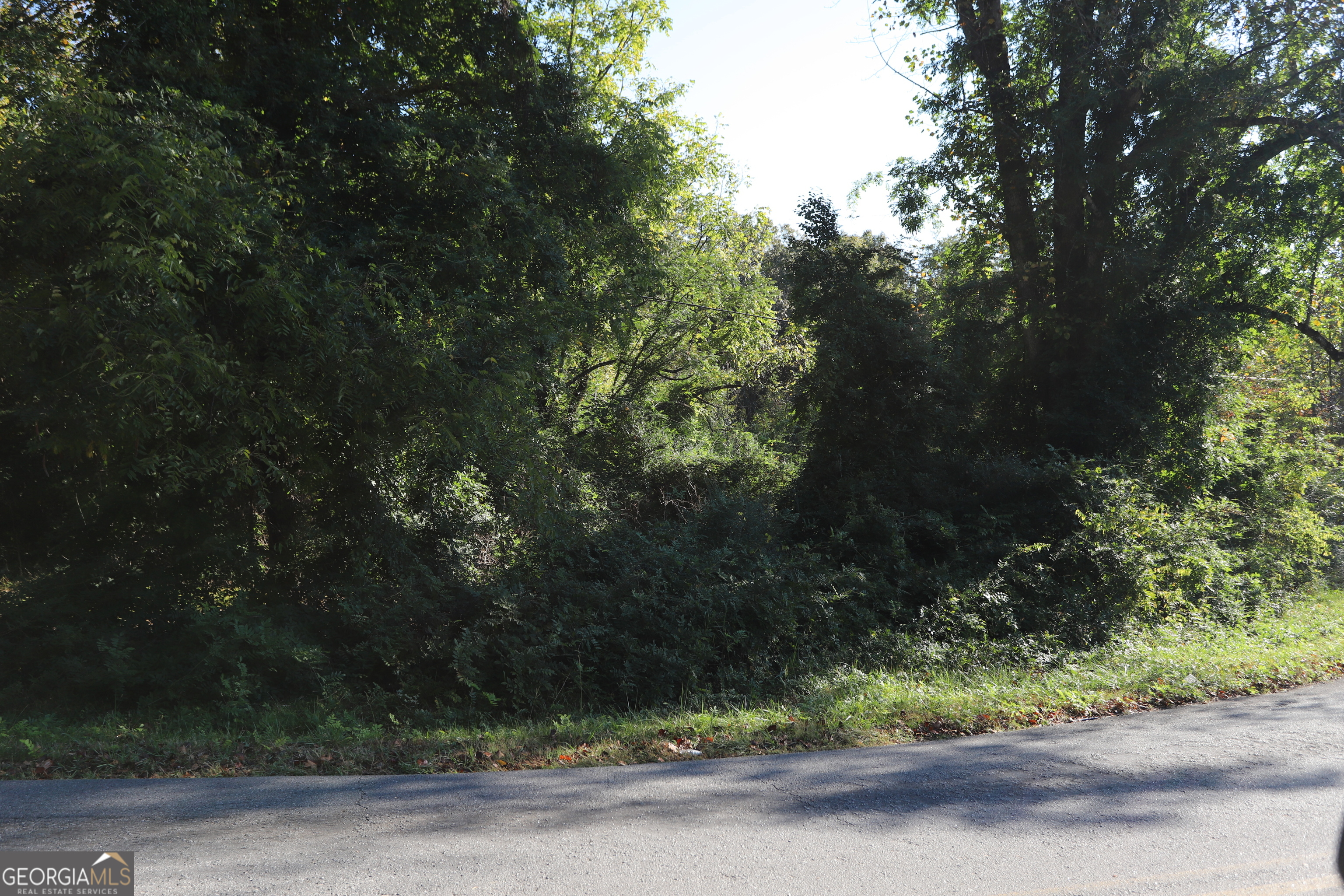 0 Dry Valley Road Summerville, GA 30747 - Photo 3 of 6 a view of a yard