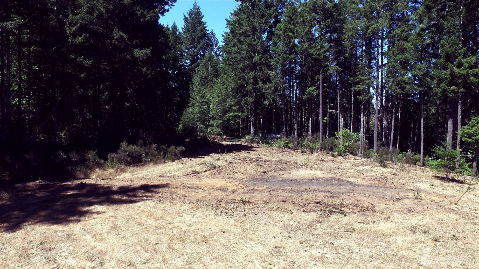 650 North Lake Cushman Road Hoodsport, WA 98548 - Photo 13 of 15 a view of snow on the side of a road