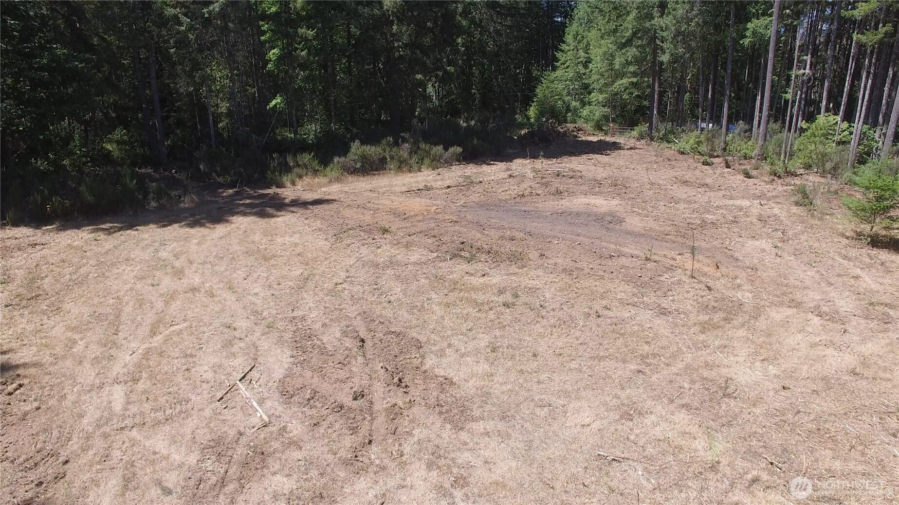 650 North Lake Cushman Road Hoodsport, WA 98548 - Photo 15 of 15 a view of backyard with green space