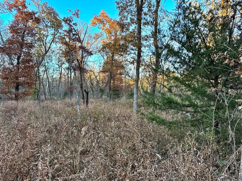 Tbd South 525 Road El Dorado Springs, MO 64744 - Photo 17 of 25