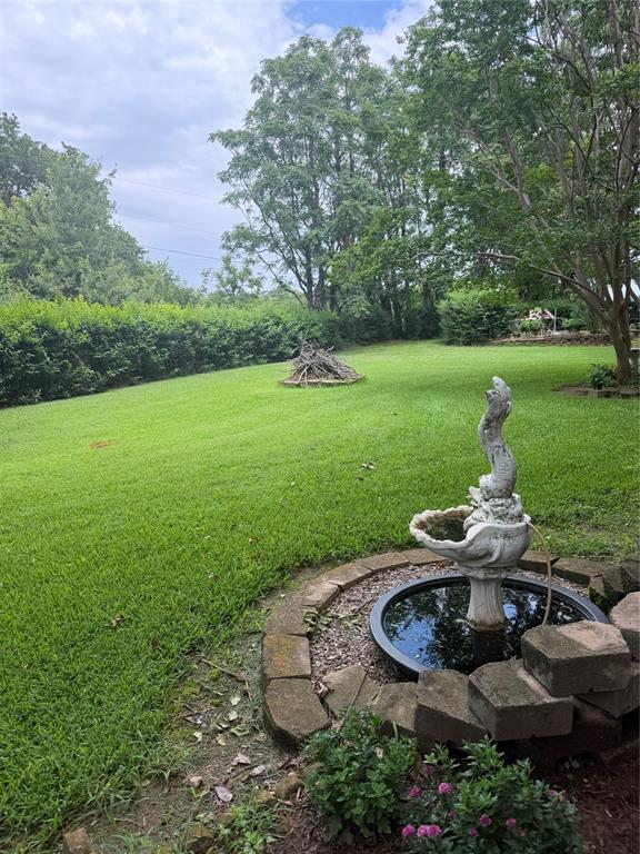 83 Bass Road Pottsboro, TX 75076 - Photo 5 of 31 Spacious backyard featuring a decorative dolphin-themed water feature, a manicured lawn, and mature perimeter trees