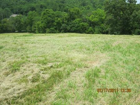 1354 Birdie Road Lawrenceburg, KY 40342 - Photo 5 of 55 Photo 5