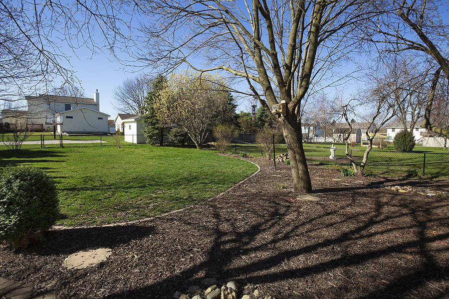 709 Landau Lane Normal, IL 61761 - Photo 42 of 44 a view of a yard with plants and a large tree