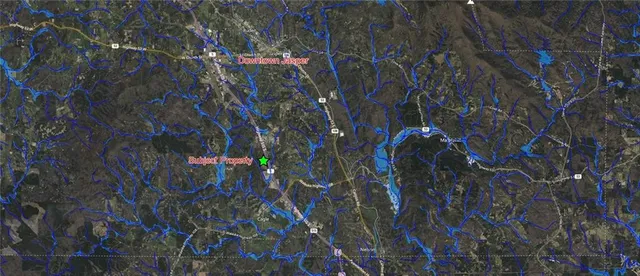 a view of under tree