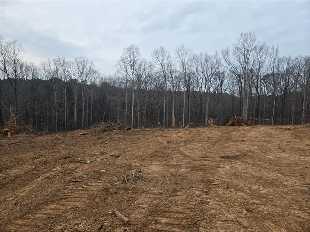 a view of a yard with plants and trees