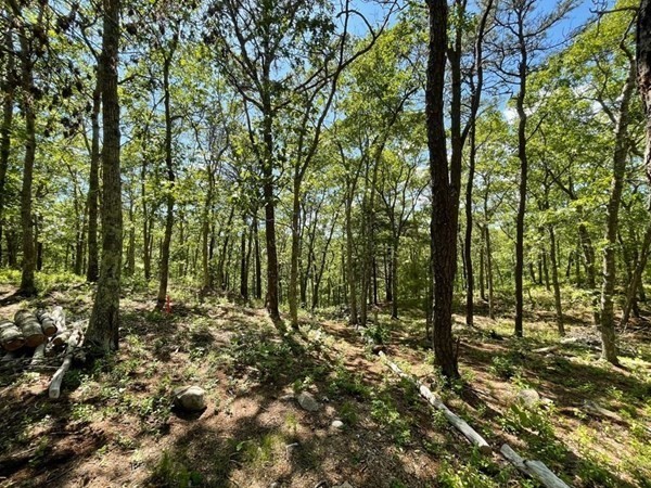 1920 R State Road Plymouth, MA 02360 - Photo 12 of 14 Gallery Image 12