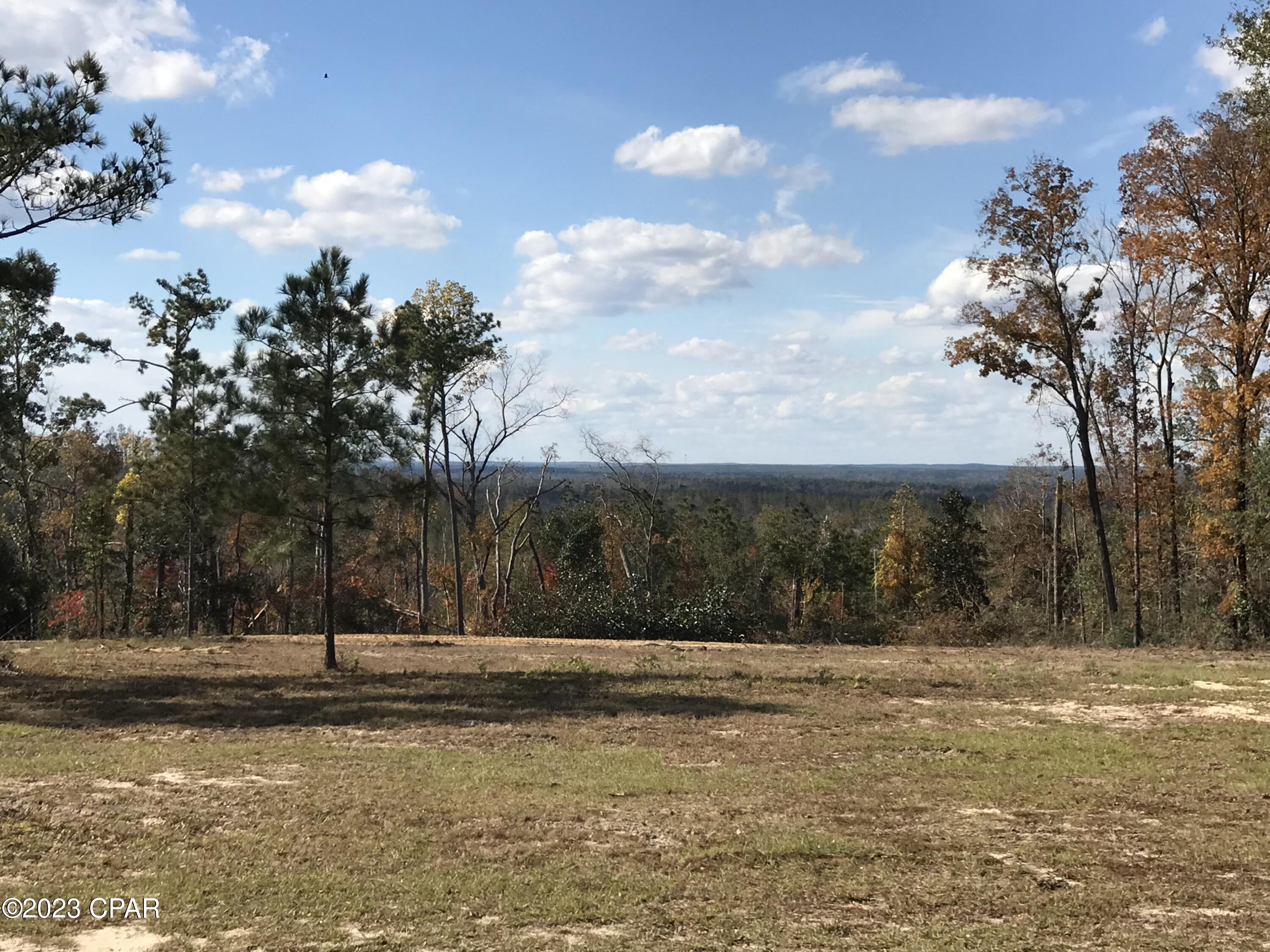 2170 Orange Hill Road Chipley, FL 32428 - Photo 55 of 57 Gallery Image 55