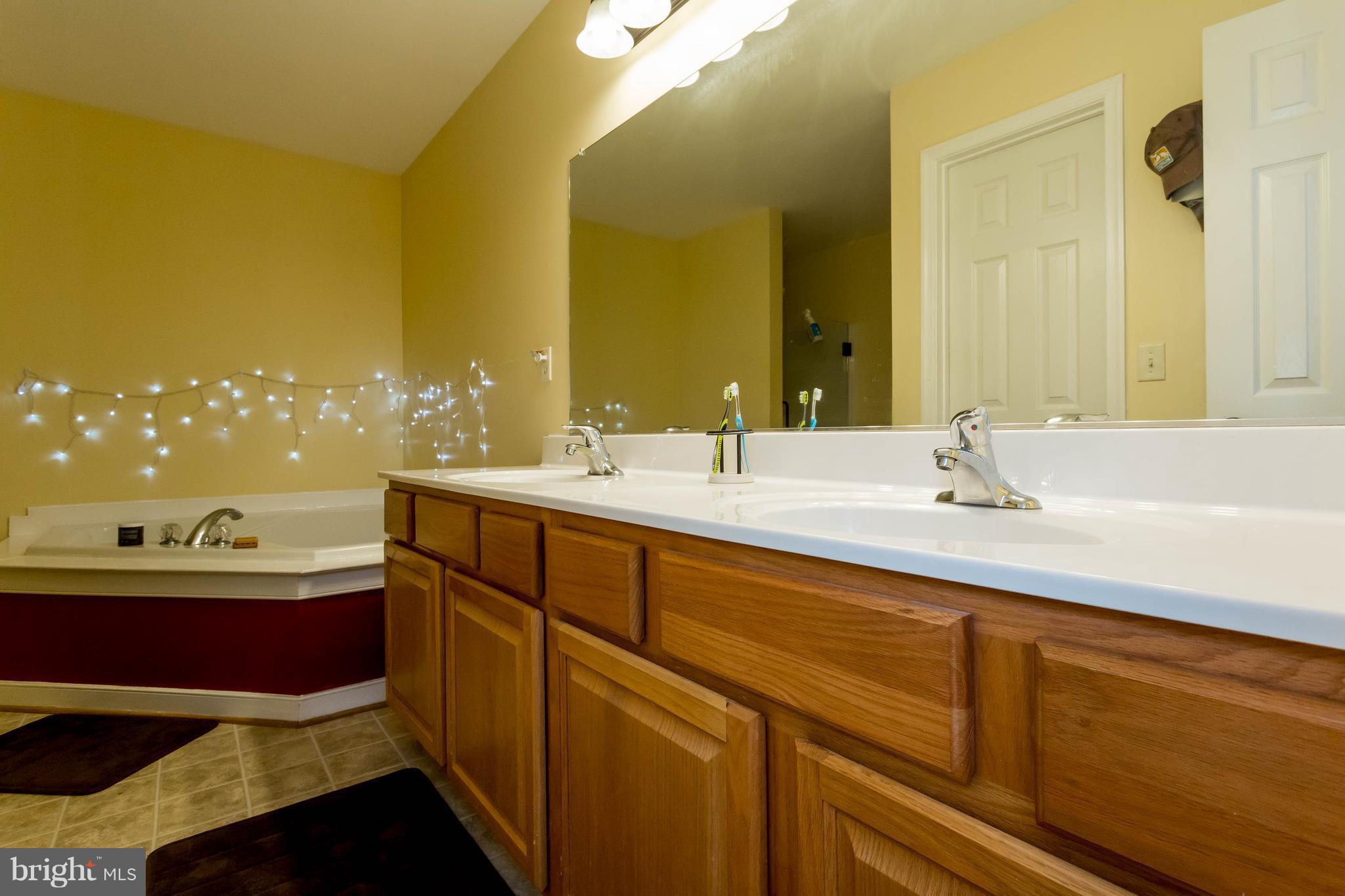 14229 Tower Road Unionville, VA 22567 - Photo 15 of 30 Bath (Master)