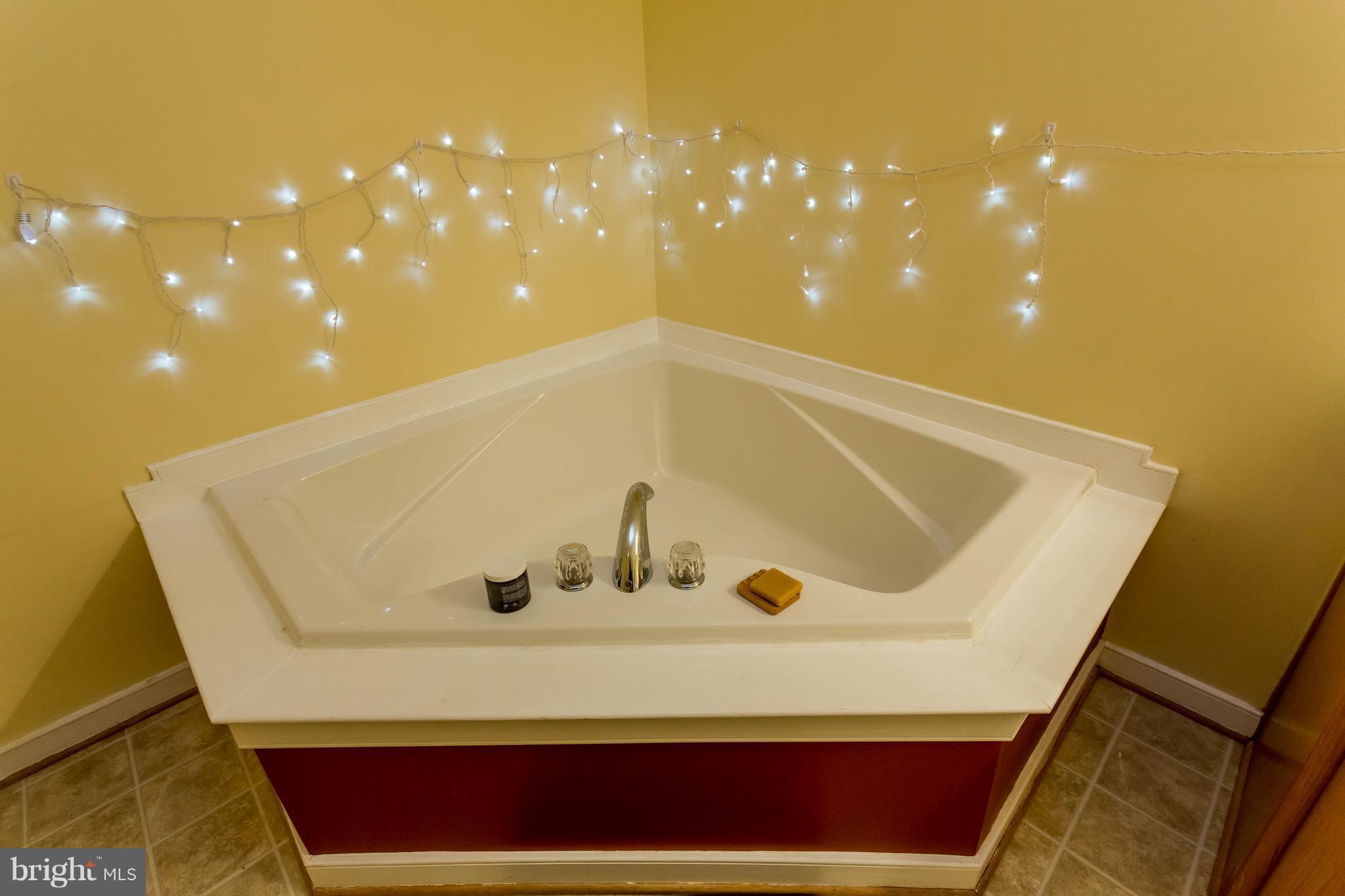 14229 Tower Road Unionville, VA 22567 - Photo 16 of 30 Bath (Master)