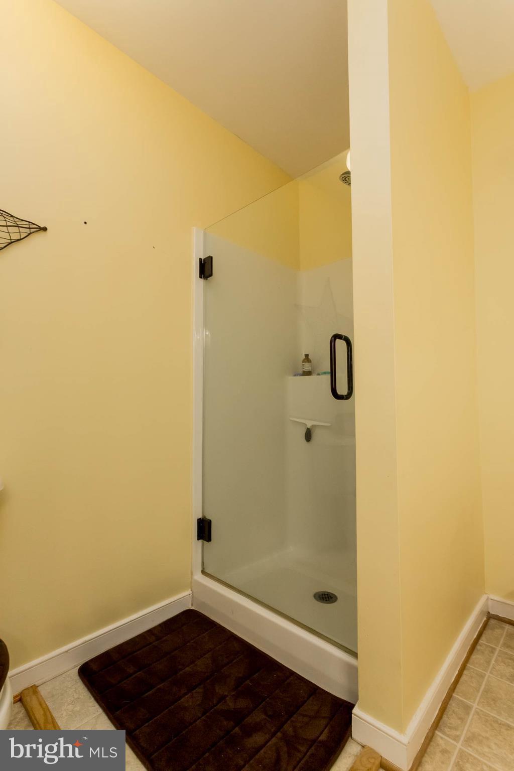 14229 Tower Road Unionville, VA 22567 - Photo 17 of 30 Bath (Master)