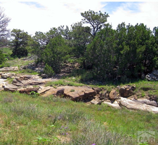 Lot 87 Coal Car Way Rye, CO 81069 - Photo 1 of 1