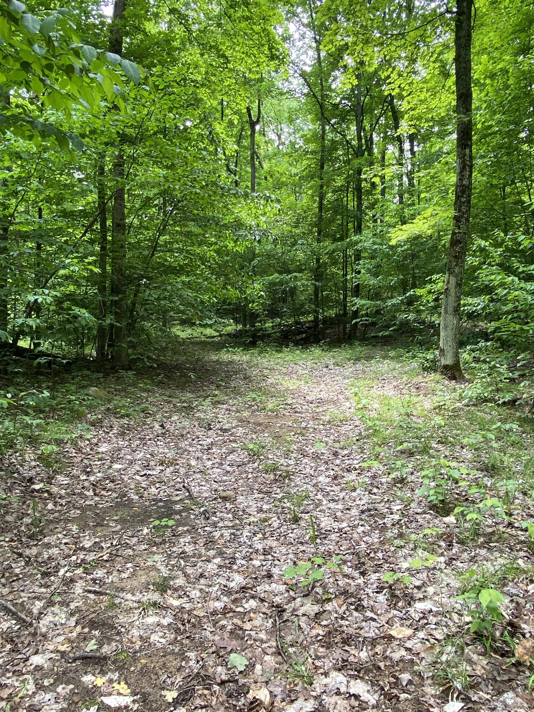 3 Stark Road, Unit LOT: 3 Mancelona, MI 49659 - Photo 17 of 26