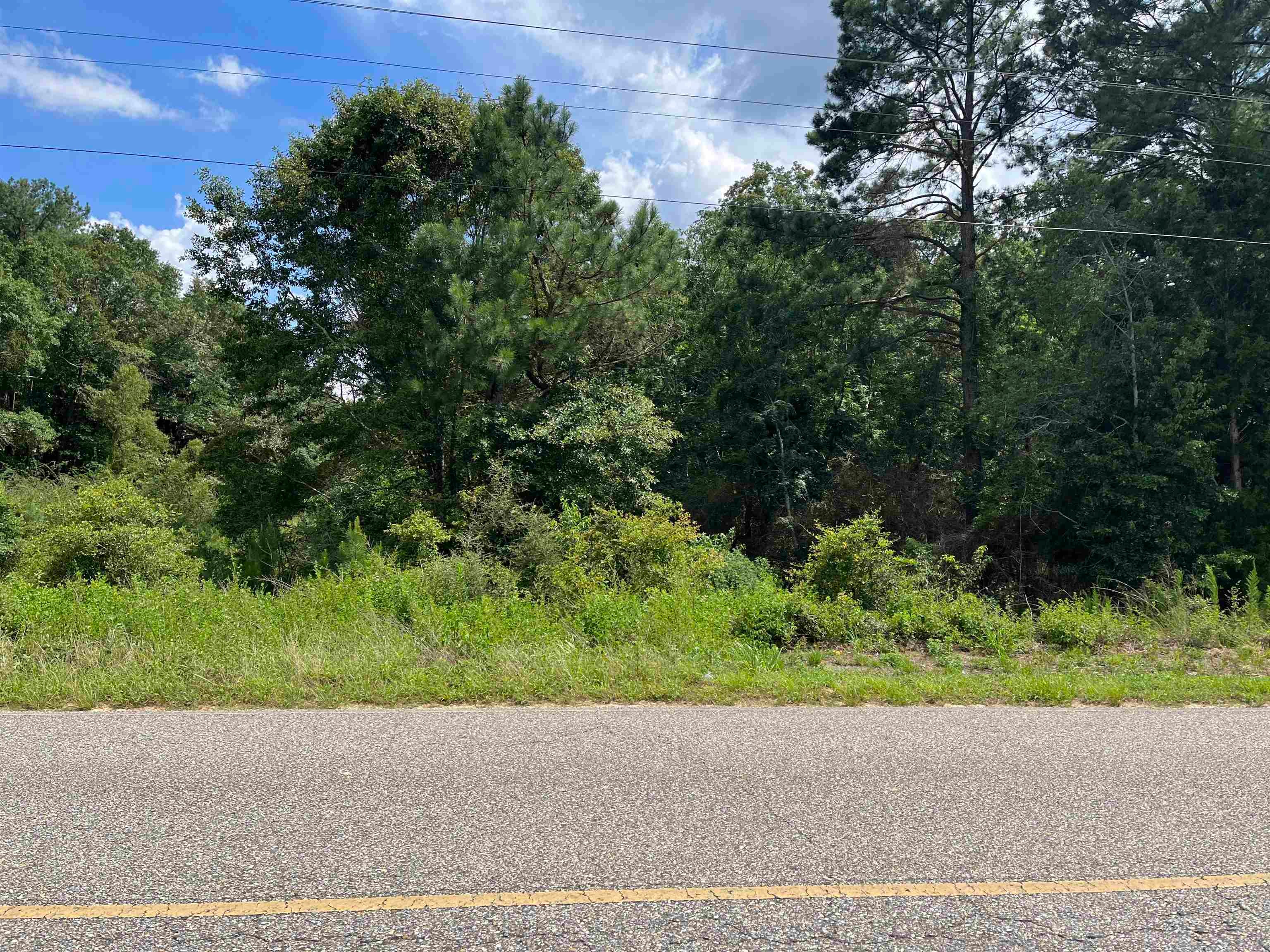 0 Airport Road Andalusia, AL 36421 - Photo 1 of 5 Gallery Image 1