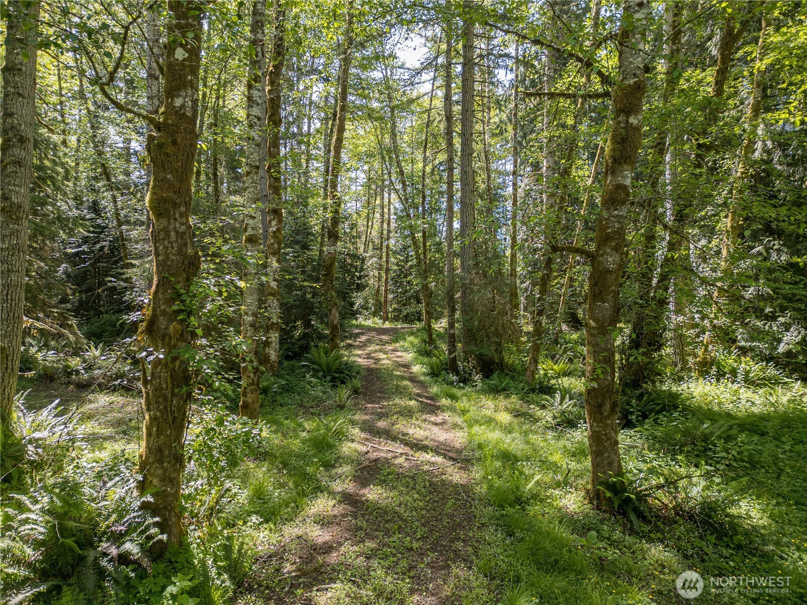 0 Durrwachter Road Port Angeles, WA 98363 - Photo 13 of 33 Gallery Image 13